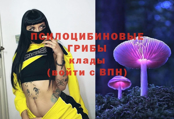 меф Белокуриха