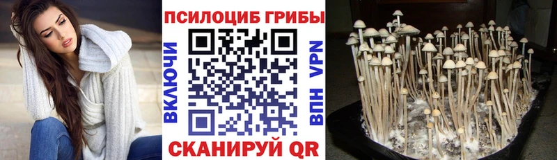 Псилоцибиновые грибы MAGIC MUSHROOMS  Купить закладки  Сатка 